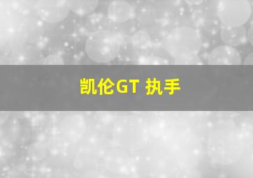 凯伦GT 执手